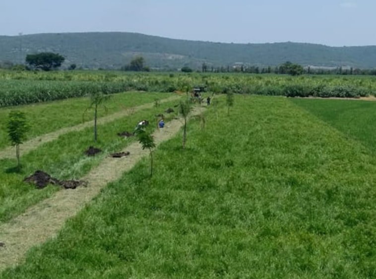 Terrenos